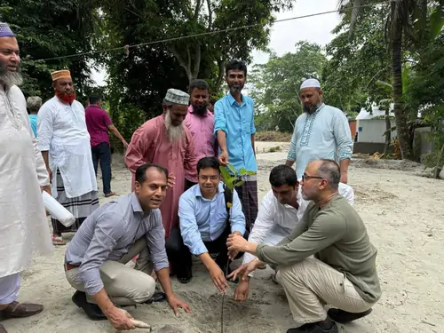 Tree planting program